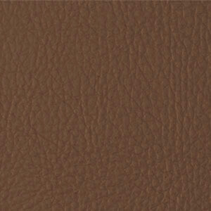 Azahar 31 (Camel)