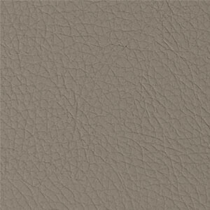 Azahar 41 (Topo)